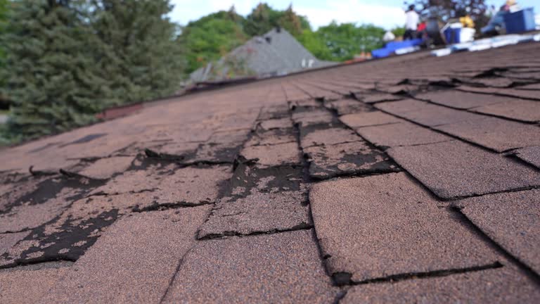 Best Roof Insulation Installation  in Anahola, HI