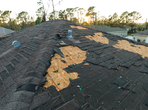 Best Steel Roofing  in Anahola, HI